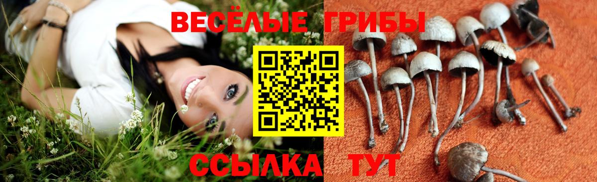 Галлюциногенные грибы мицелий  Вход с VPN  Бузулук 