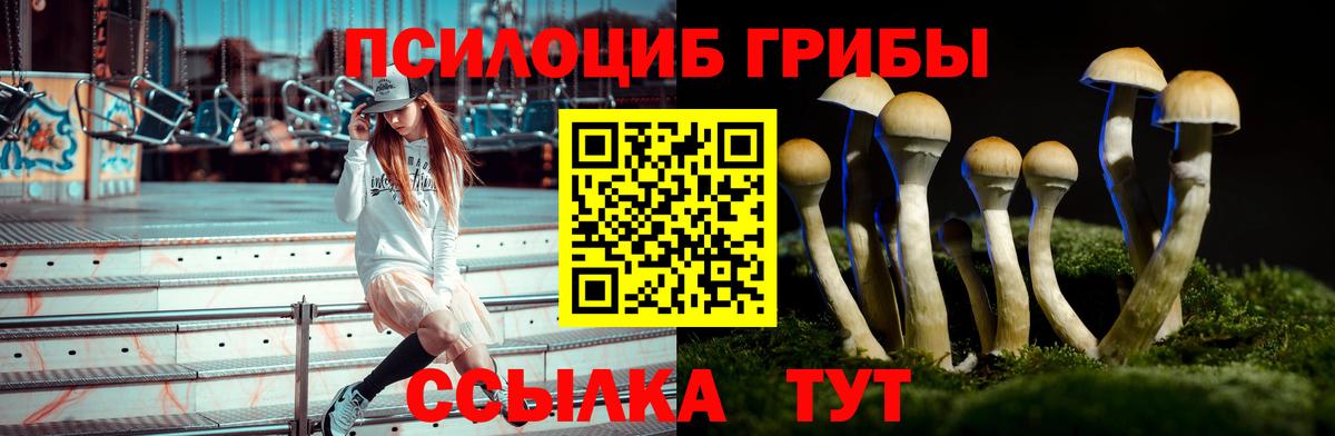 Псилоцибиновые грибы MAGIC MUSHROOMS Бузулук